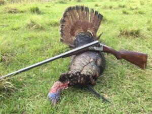 Osceola Turkey Hunting